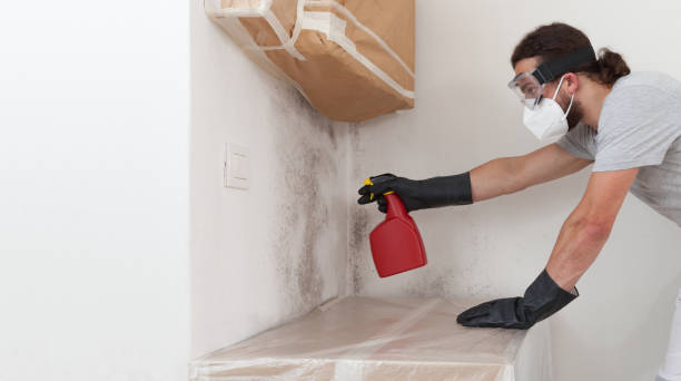 Professional Black Mold Removal technician working in Solomons, MD