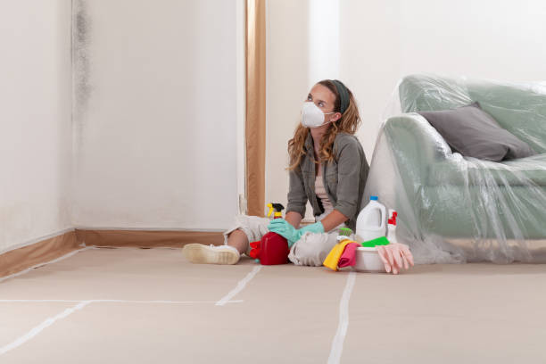 Reliable Black Mold Removal contractor in Solomons, MD by WQB Mold Removal